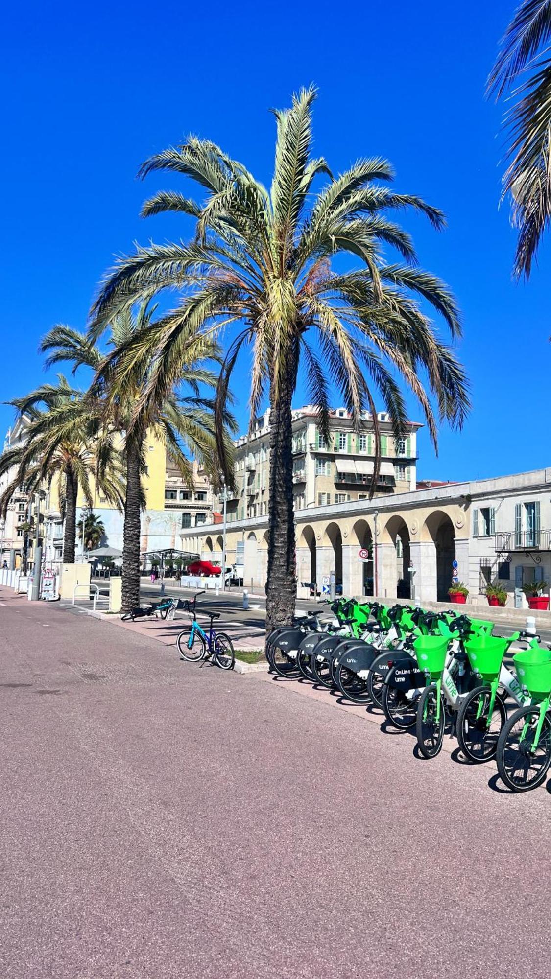 L'avenir Gorbella Nice