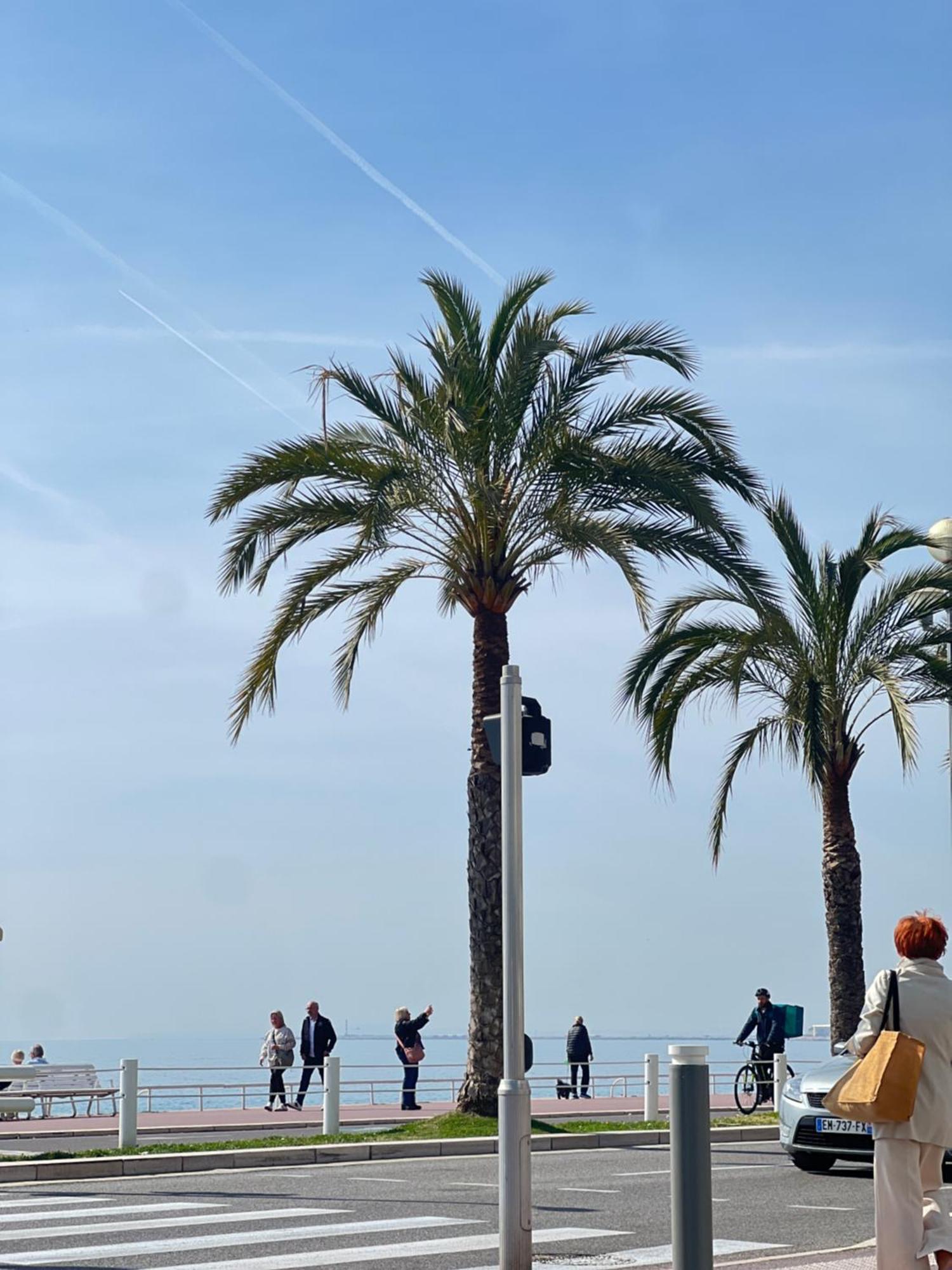 Apartment La Vague Douce Nice