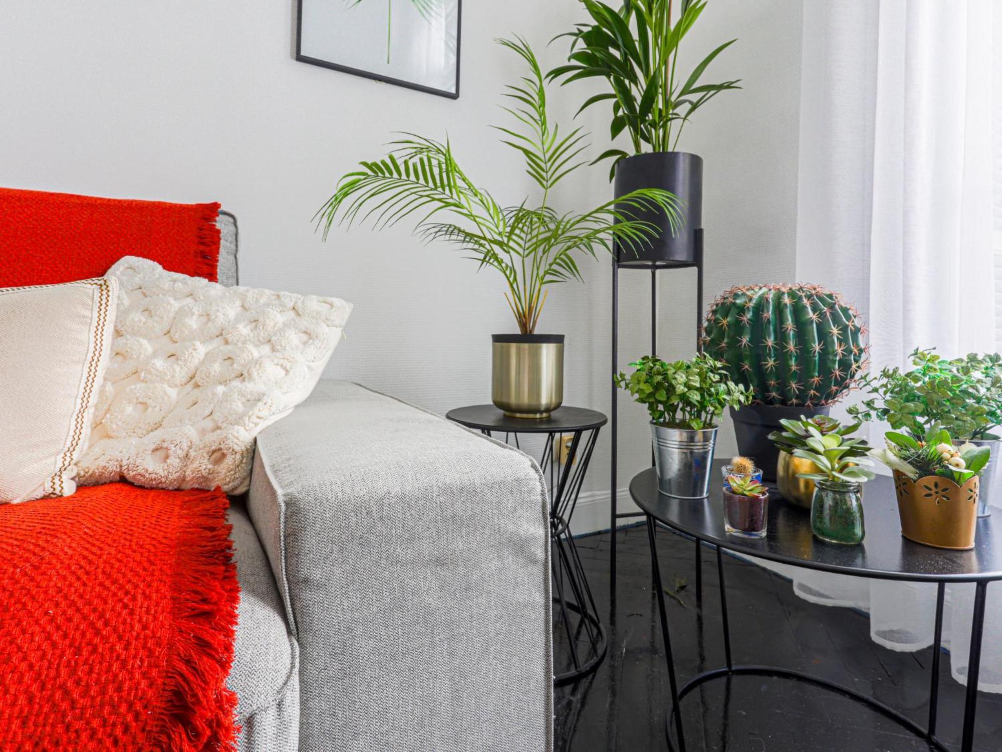 Le Lamartine By Interhome