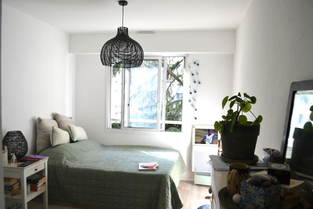 Apartment Super Clair *