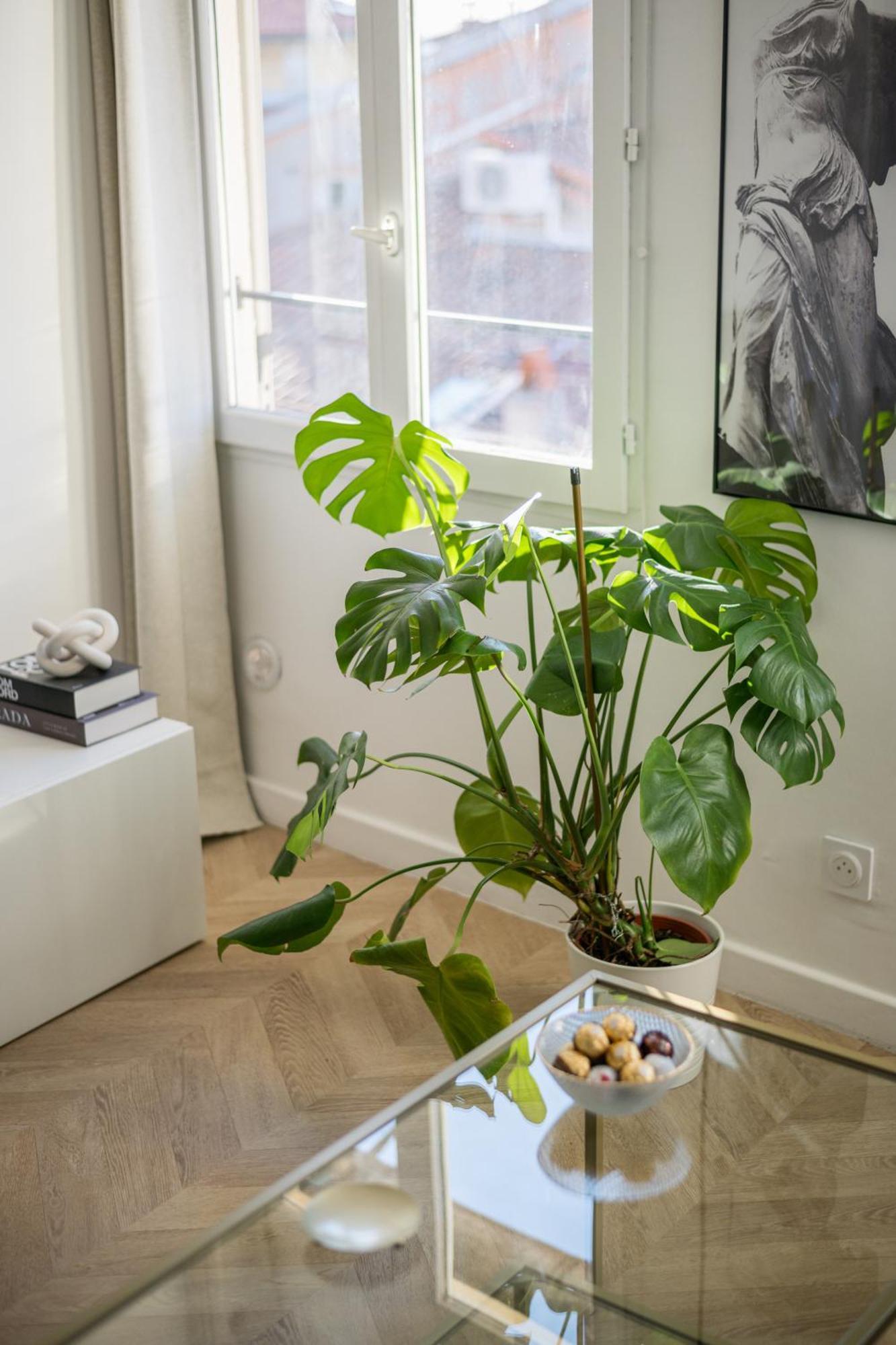 Stunning In The Heart Of Old Town Apartment *
