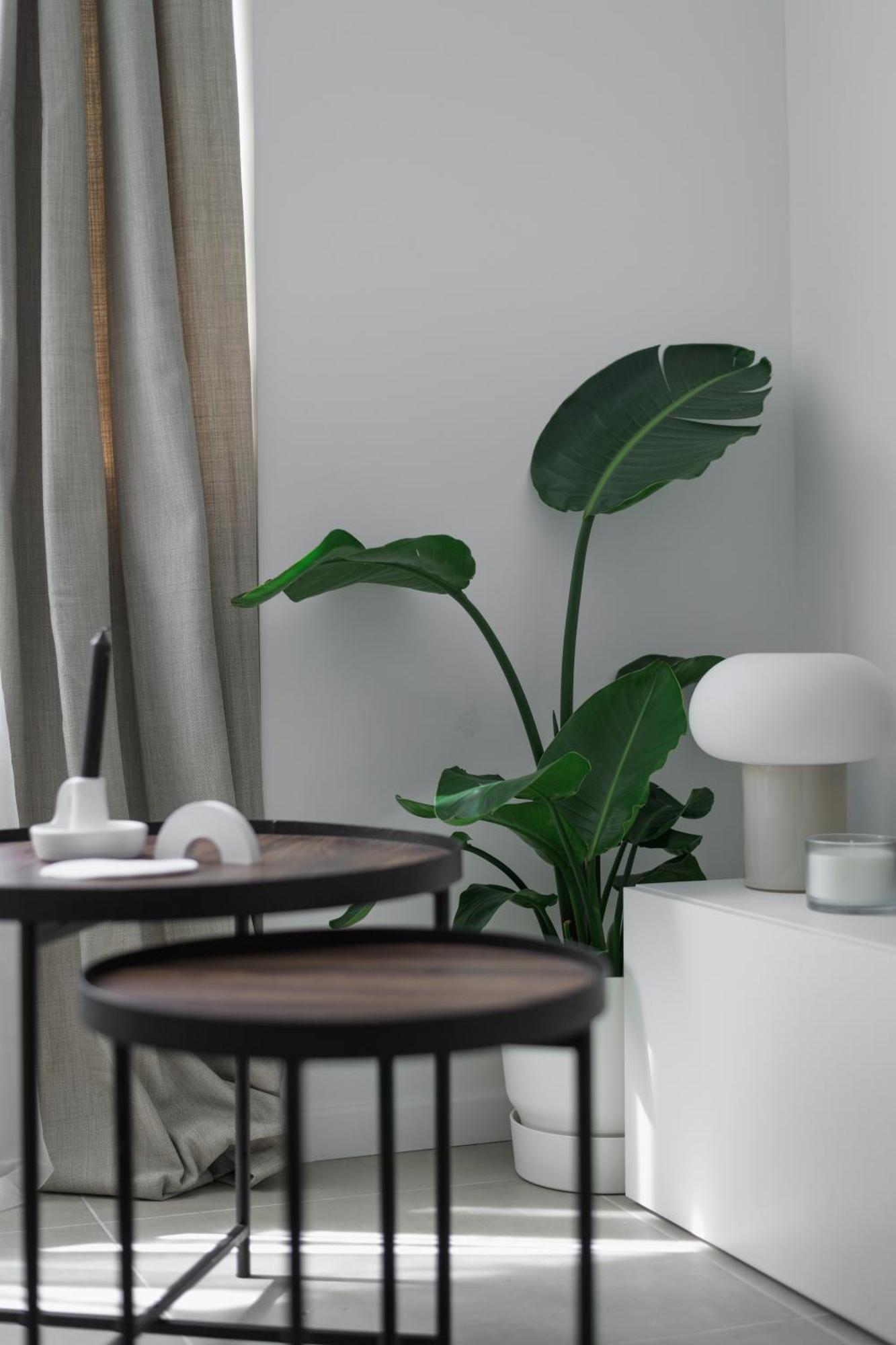 Apartment Spacieux Summer Getaway Ideal For 6 Nice