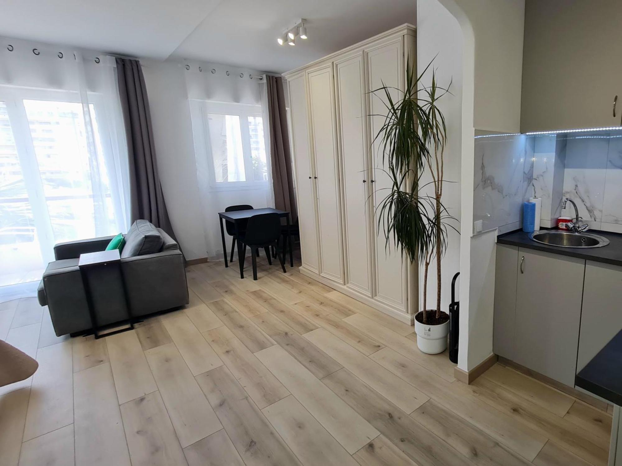 Palm Studio