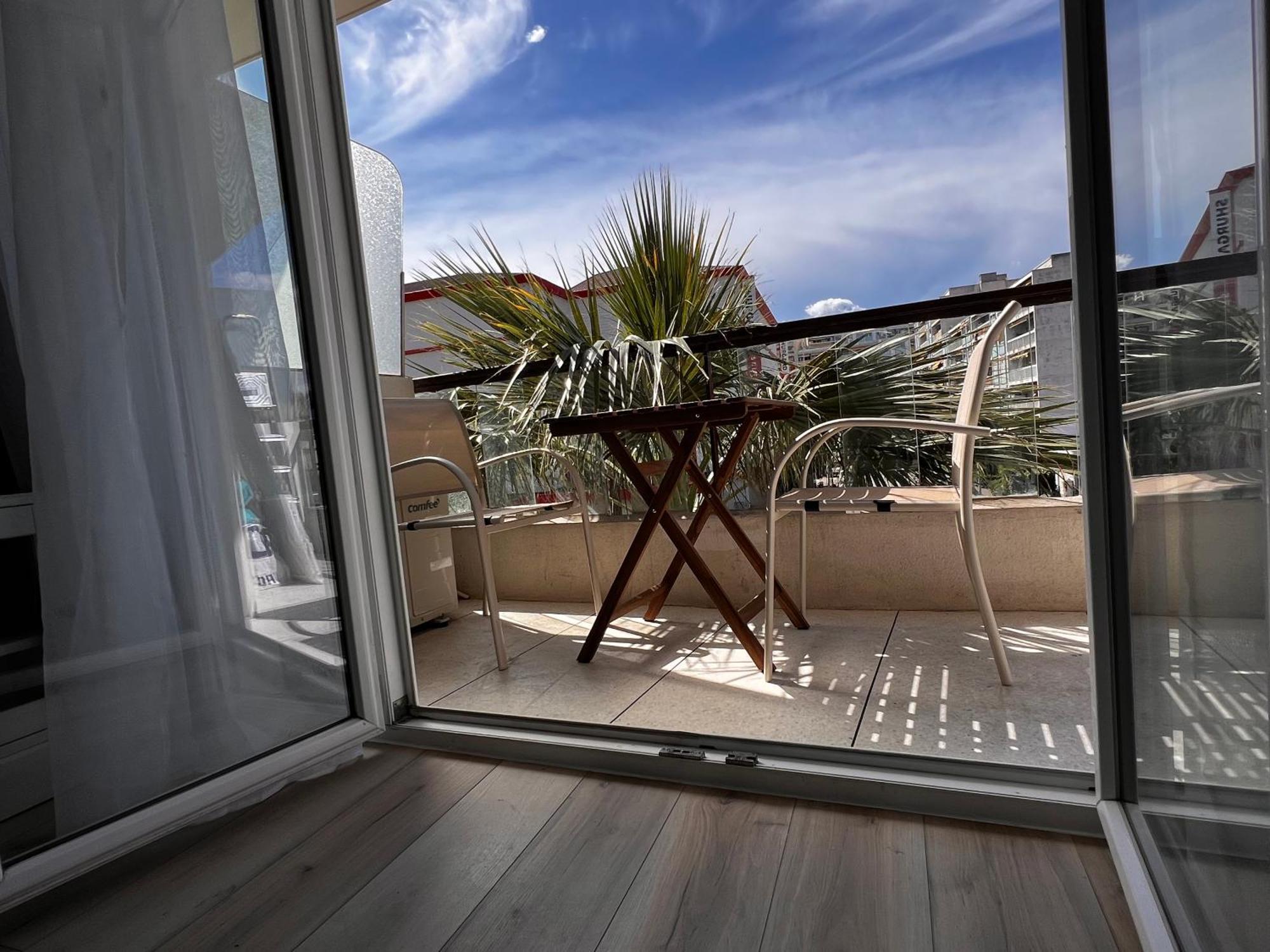 Palm Studio Apartment Nice