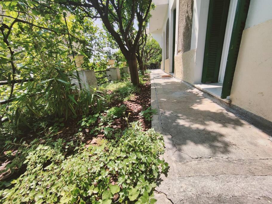 Apartment En Avec Jardin Nice