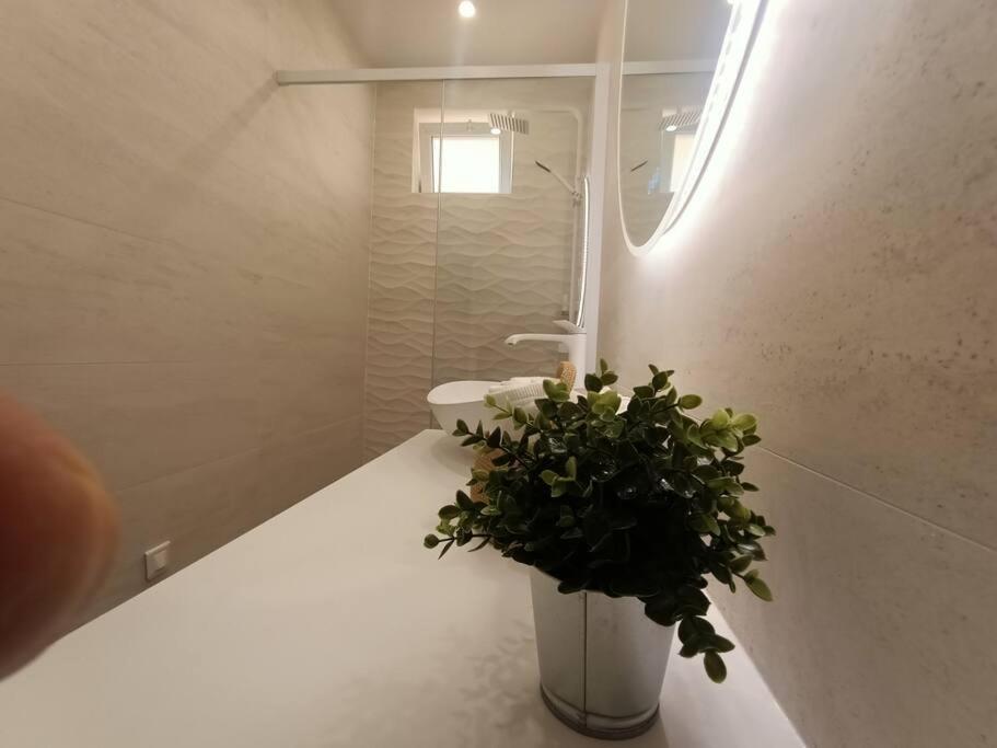 Apartment The Chic Liberation