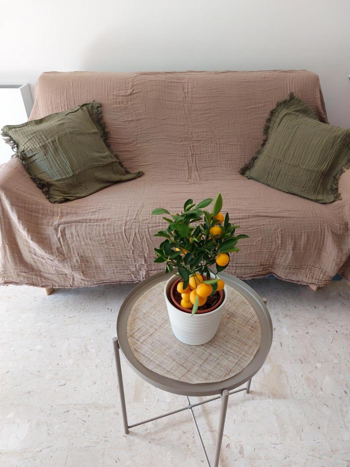 2p Renove Avec Terrasse Au Port De Apartment