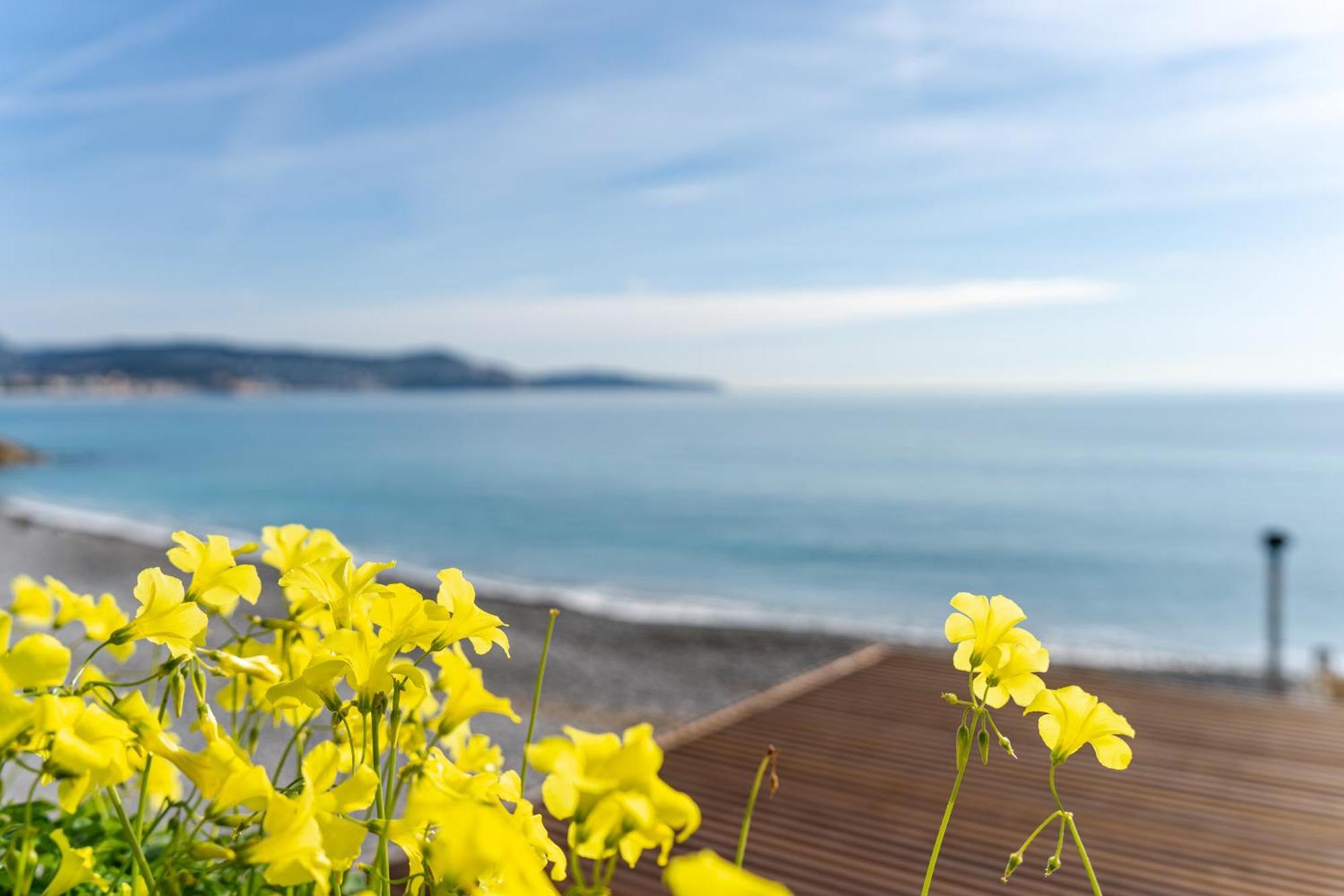 Promenade Des - 2 - Jardin *