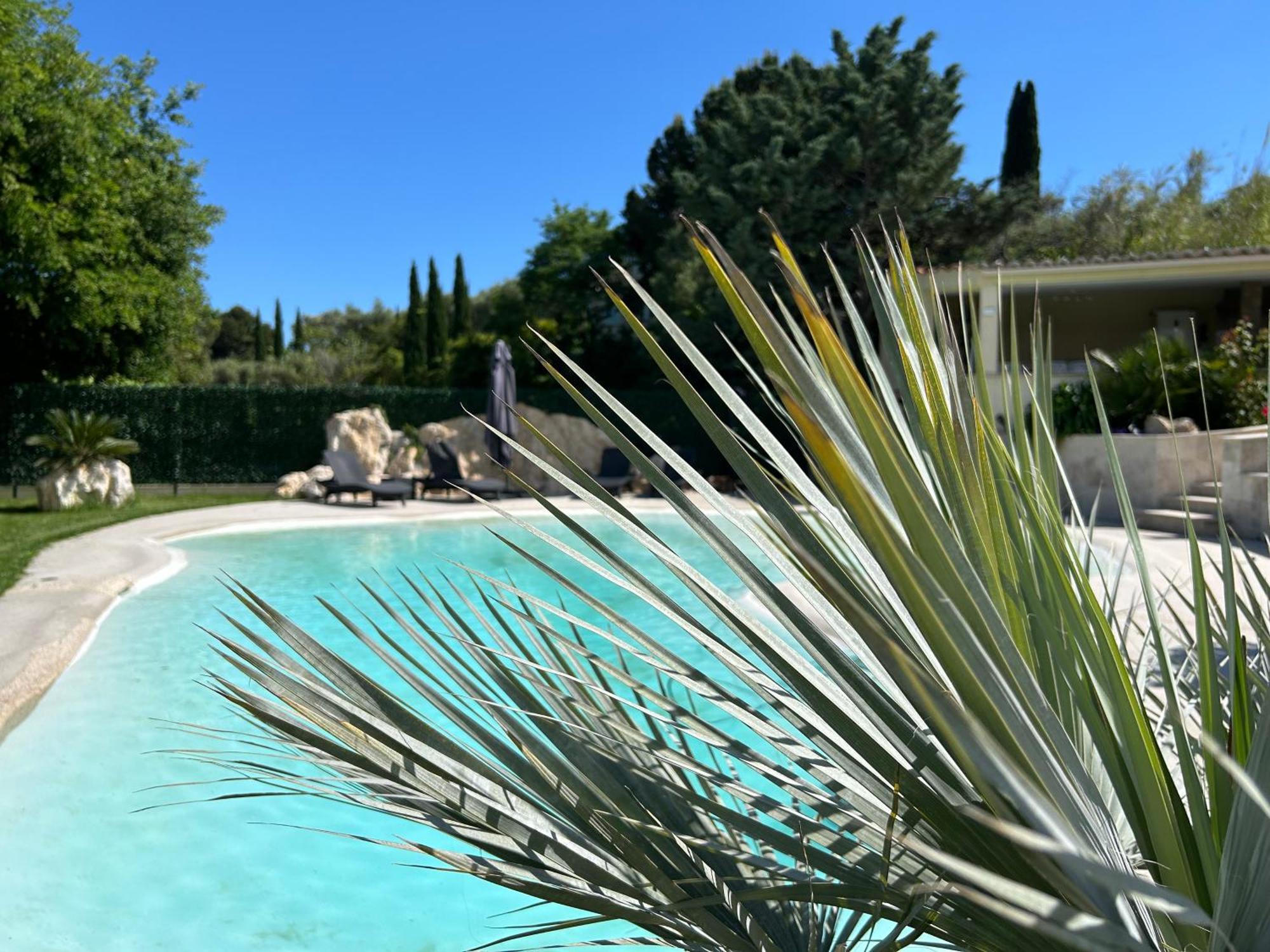 Duplex Oliveraie Piscine Au Sel Marin Et Parking Apartment Nice