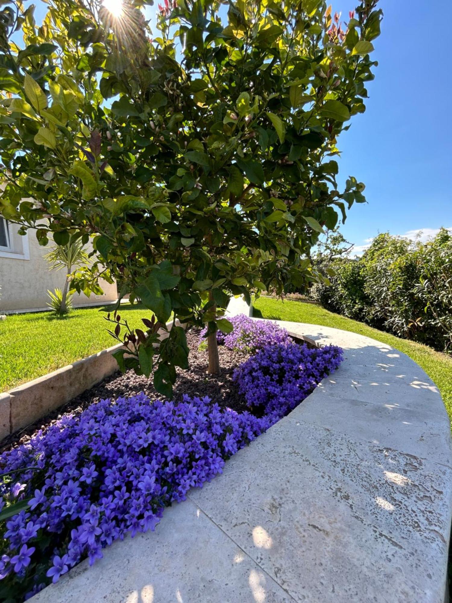 Duplex Oliveraie Piscine Au Sel Marin Et Parking * Nice