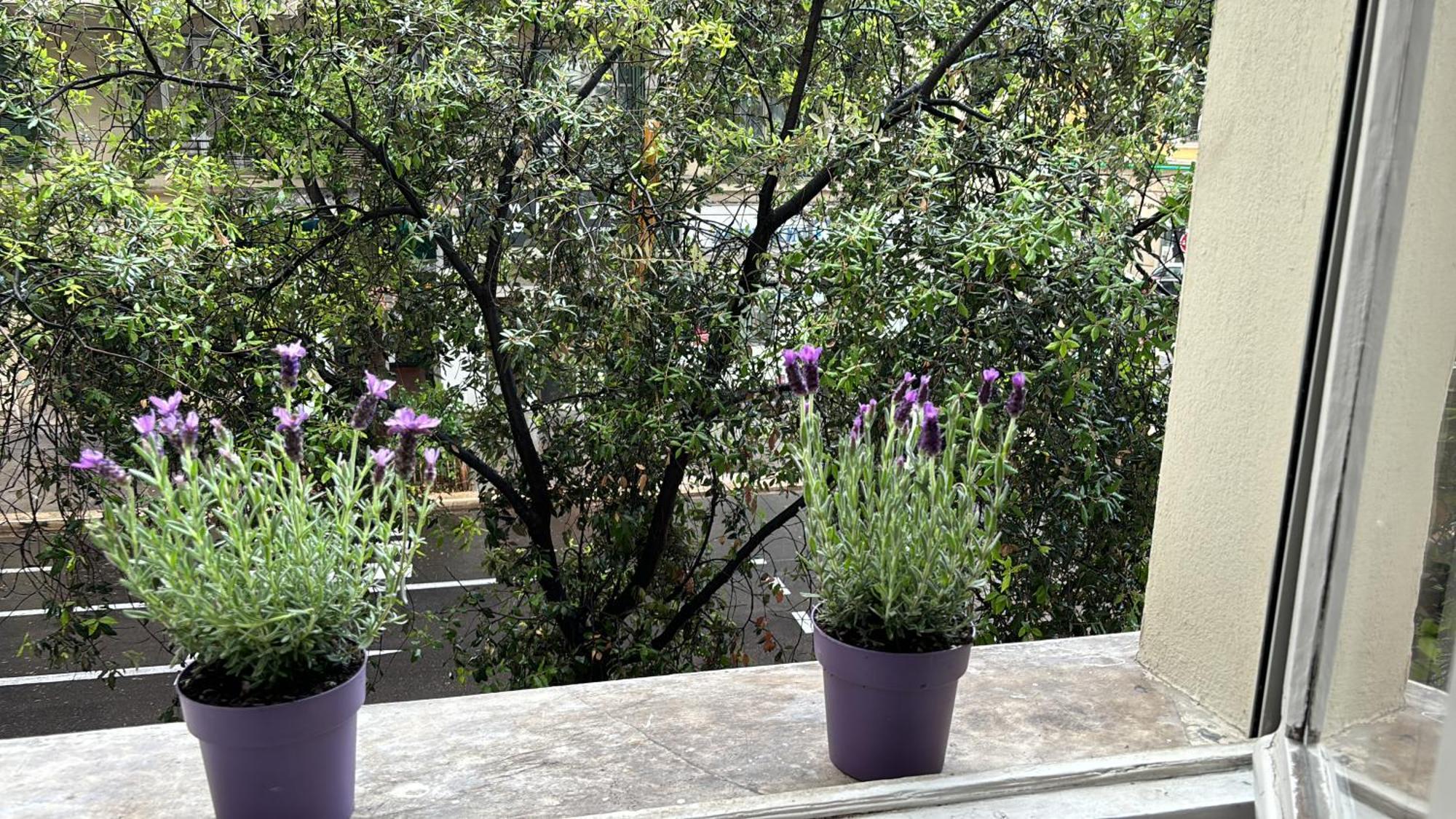 Apartment 2 Steps From The Sea Near The Negresco *