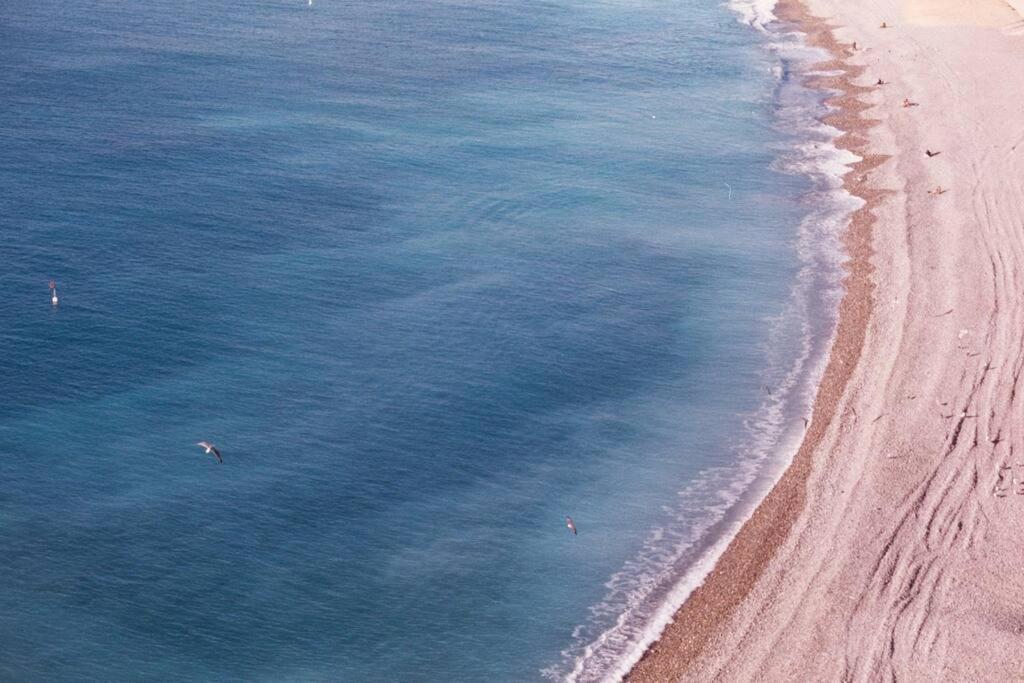Californie - Proche Nice