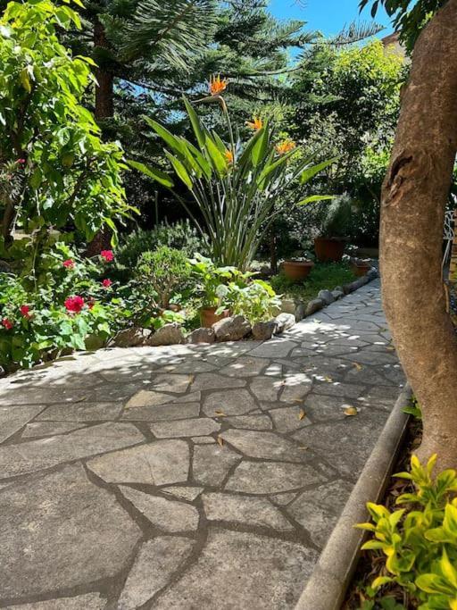 Apartment T3 Dans Pres De La Nice