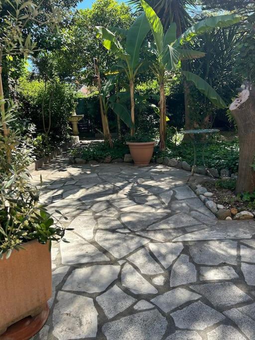 Apartment T3 Dans Pres De La