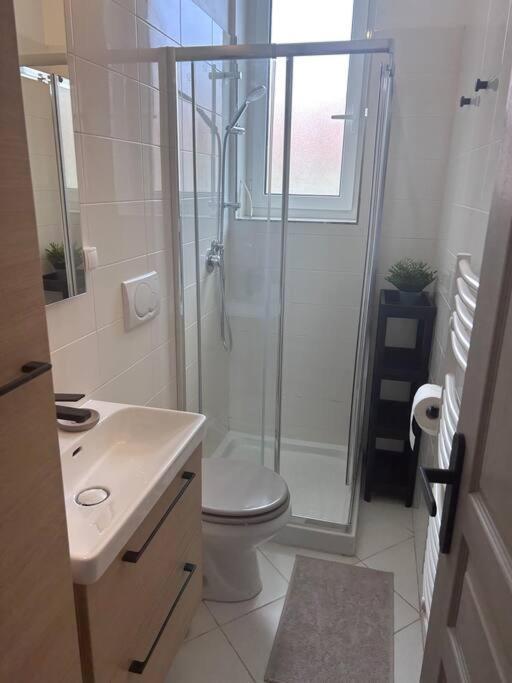 Dans Proche Apartment Nice