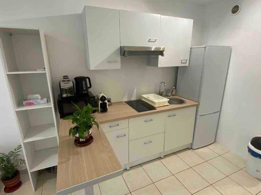 Apartment Proche De La Nice