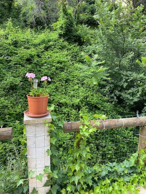 Serenice - F2 Au Calme, Climatise, Wifi Et Parking Gratuit Holiday home *