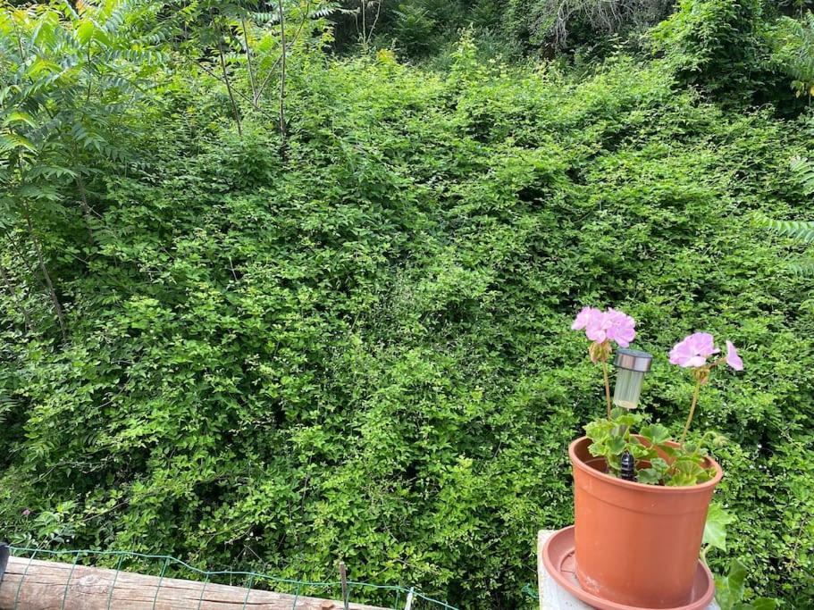 Serenice - F2 Au Calme, Climatise, Wifi Et Parking Gratuit Holiday home Nice