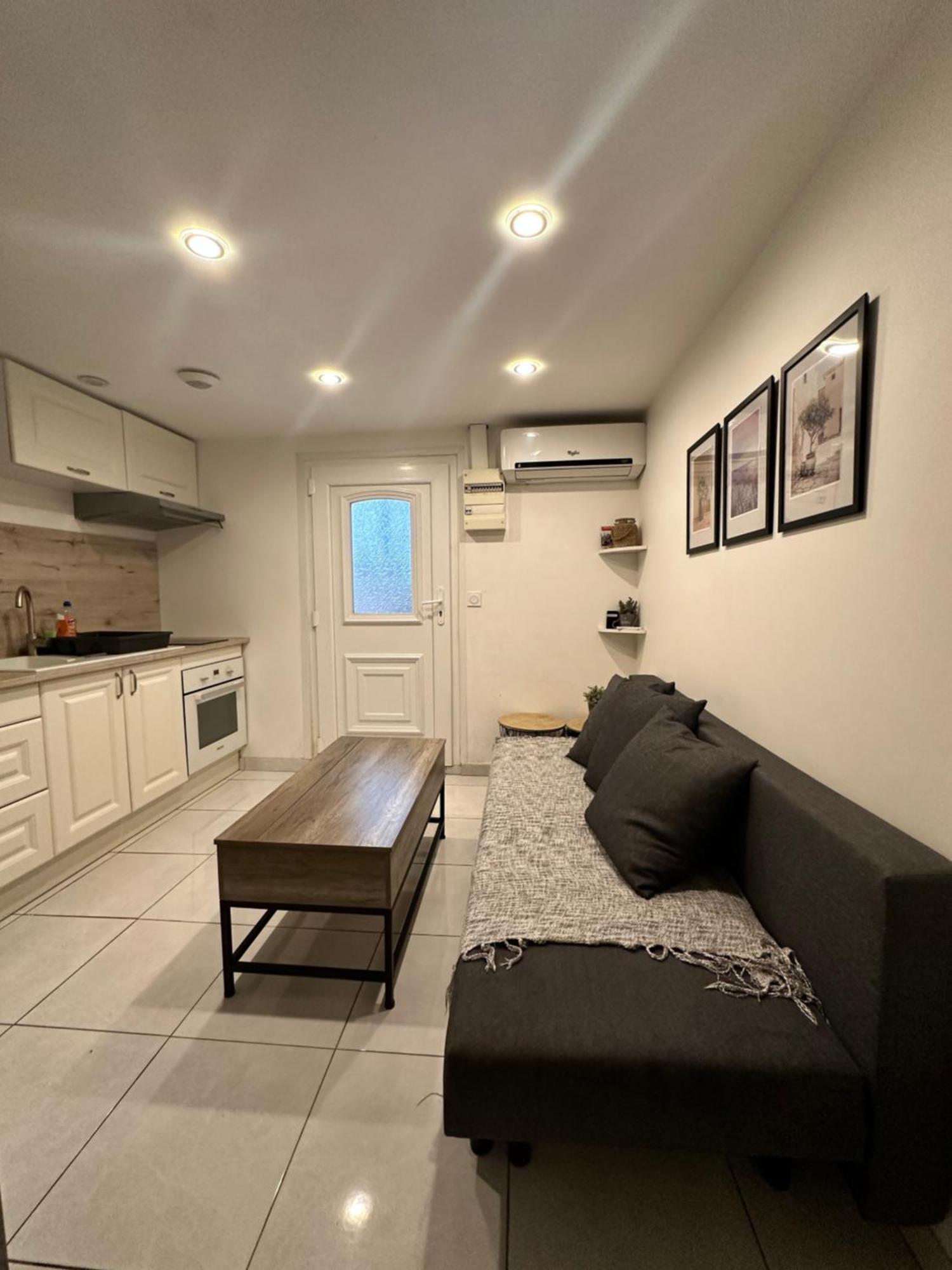 Appartement Jolie Proche Et Aeroport Salon Avec Cuisine Nice
