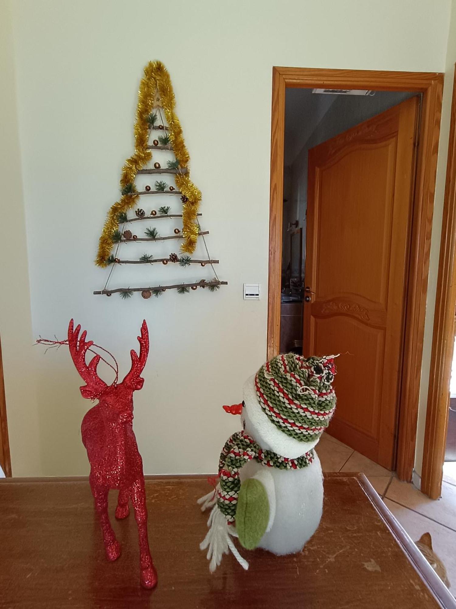 Double With Great View Homestay