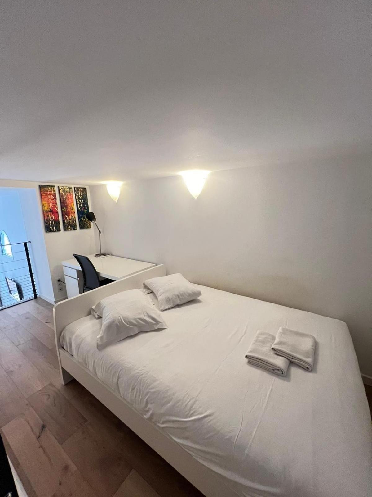 Appartement Magnifique Duplex Type Loft Nice