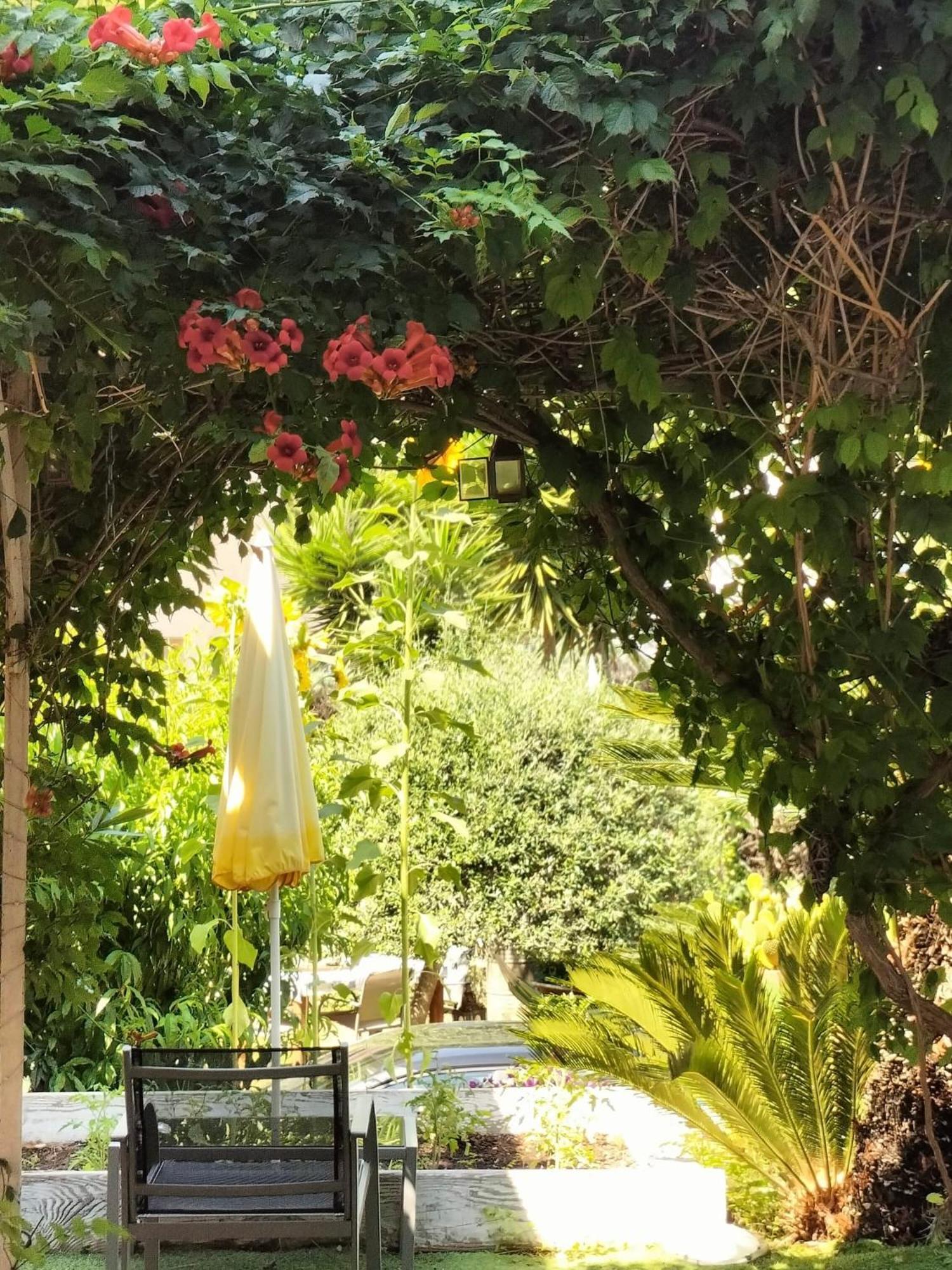 Bellabe Bed & Breakfast Nice