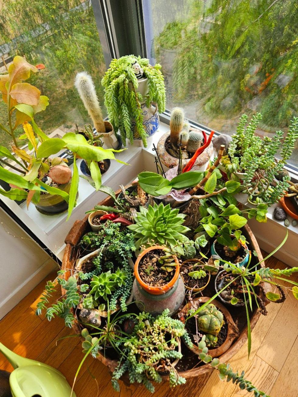 T2 A La Liberation, * Nice