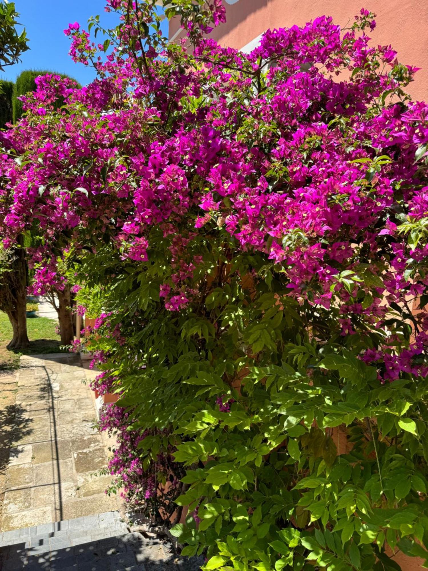 Holiday home D'hotes Duplex Le Petit Mas Nicois De La Rose