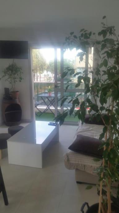 Vue 28m2 200m De La * Nice