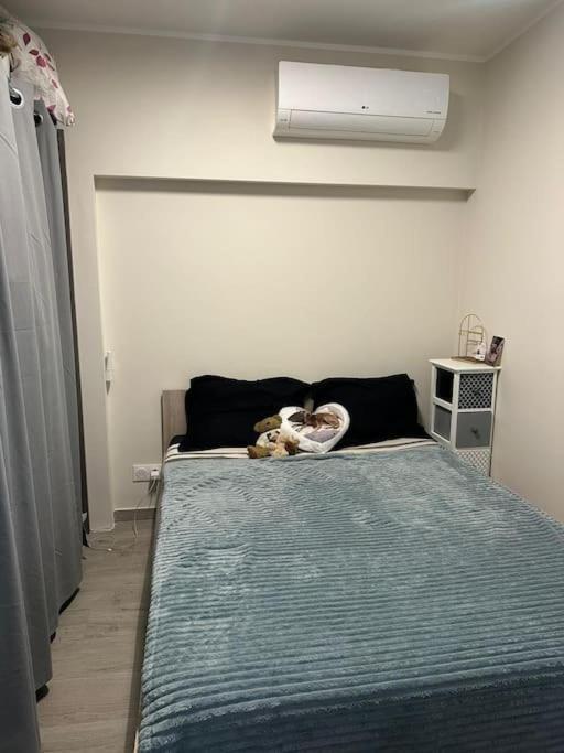 Hippocampe A 50 M Des Plages Apartment