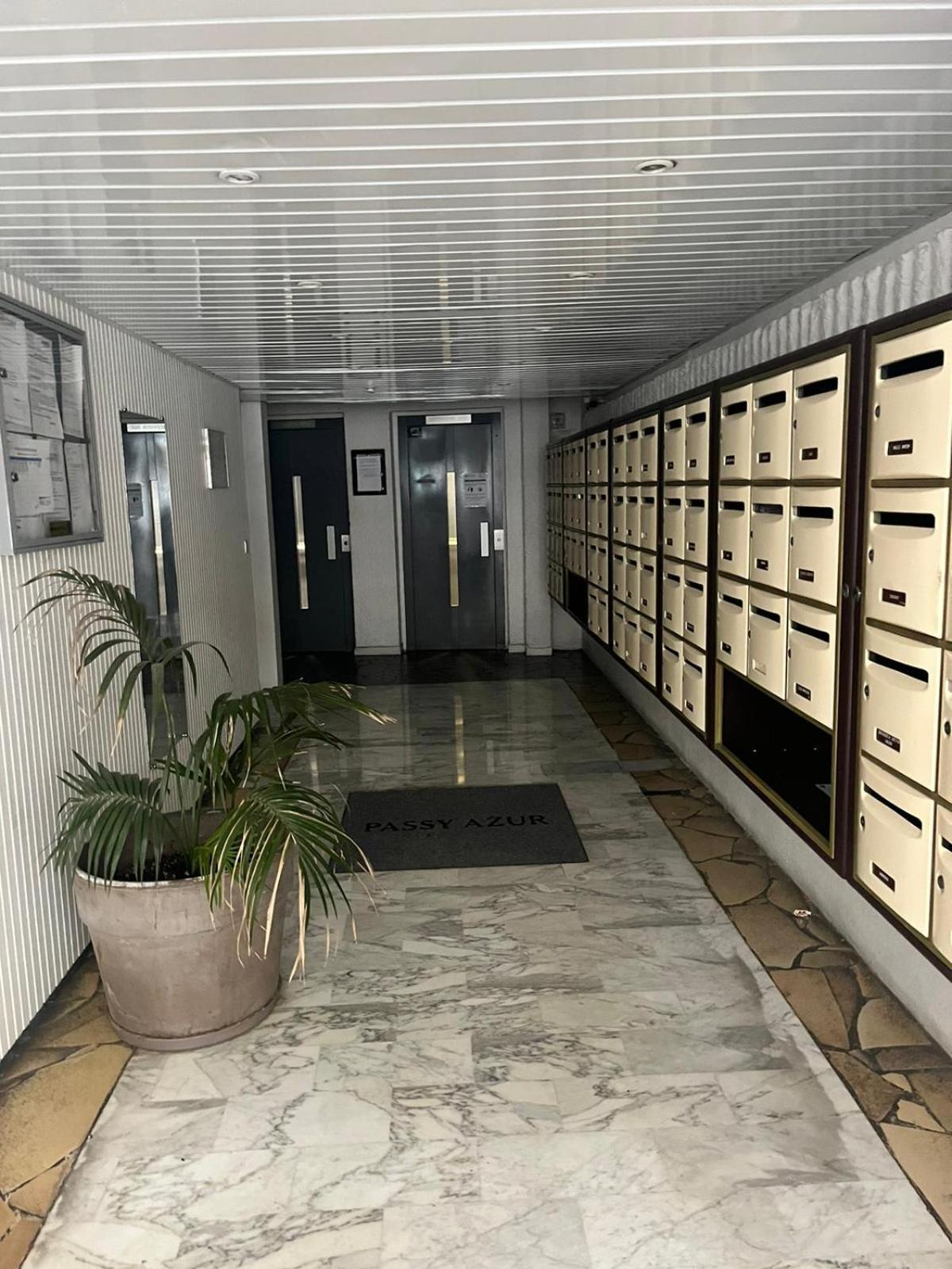 Palm Leaf Apartment Nice