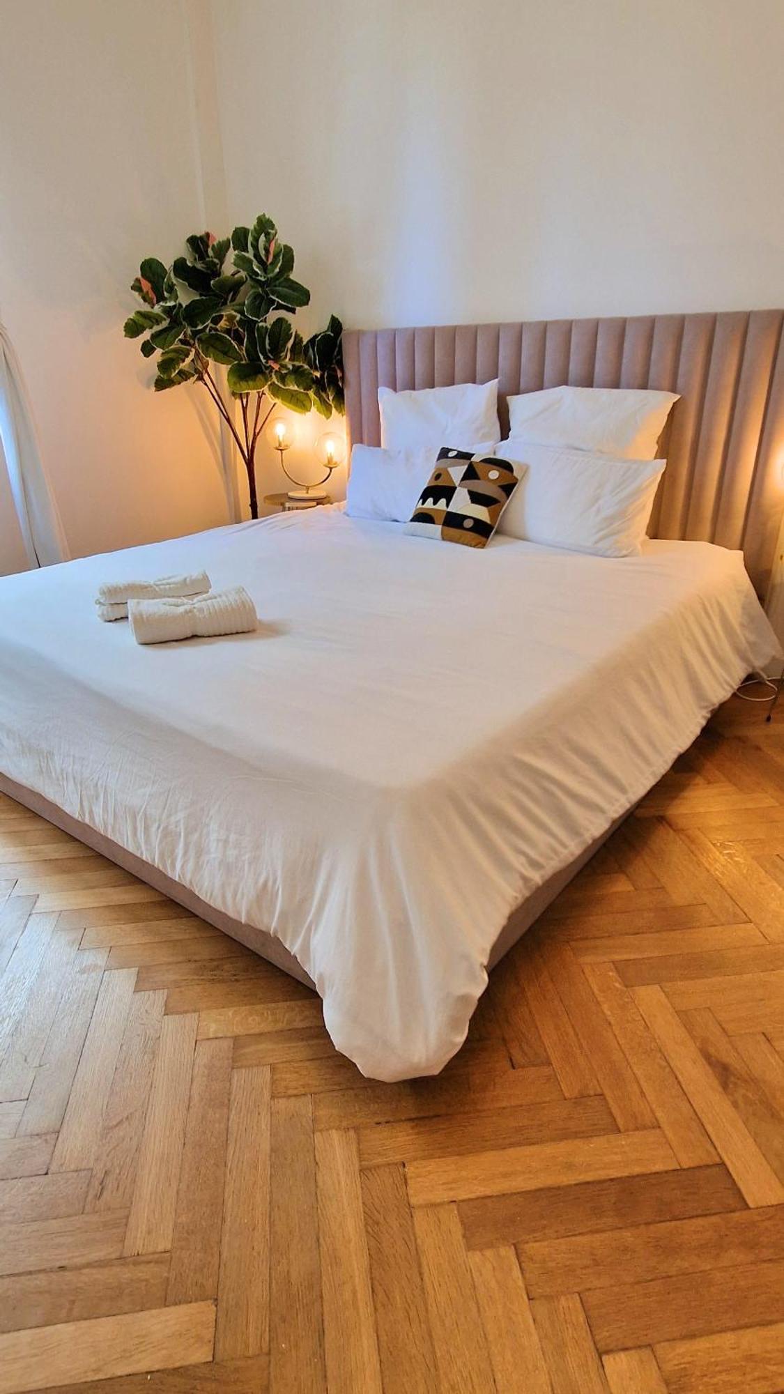 Jazzy Et Spacieux Prom Des Nice