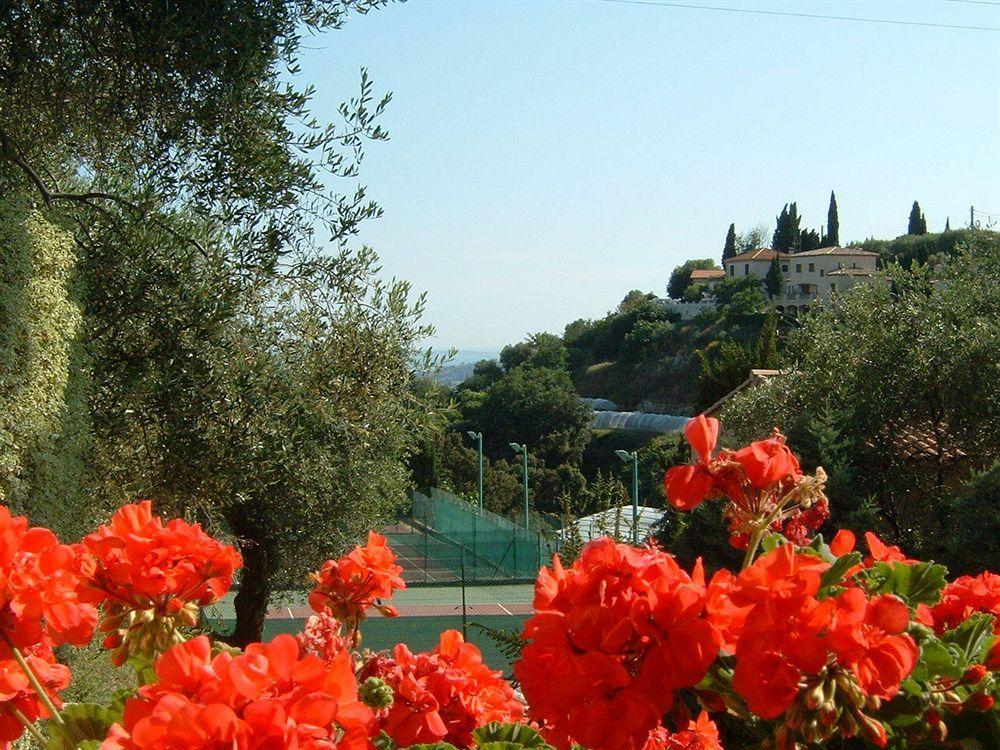 Mas Des Oliviers Bed & Breakfast