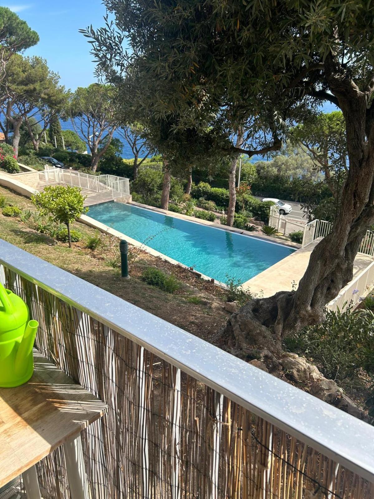 Stunning View And Pool Big Location Apartment Nice