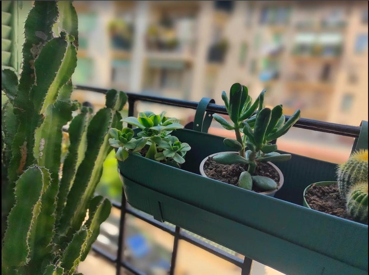 Apartment 26 Libay *