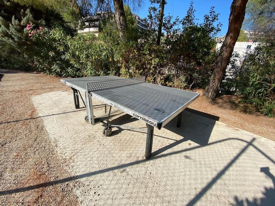 Superbe De 3p Pieces Dans Avec Piscine Et Climatisation Apartment Nice