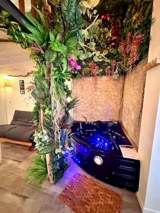 Jungle Avec Jaccuzi Au Coeur De Nice