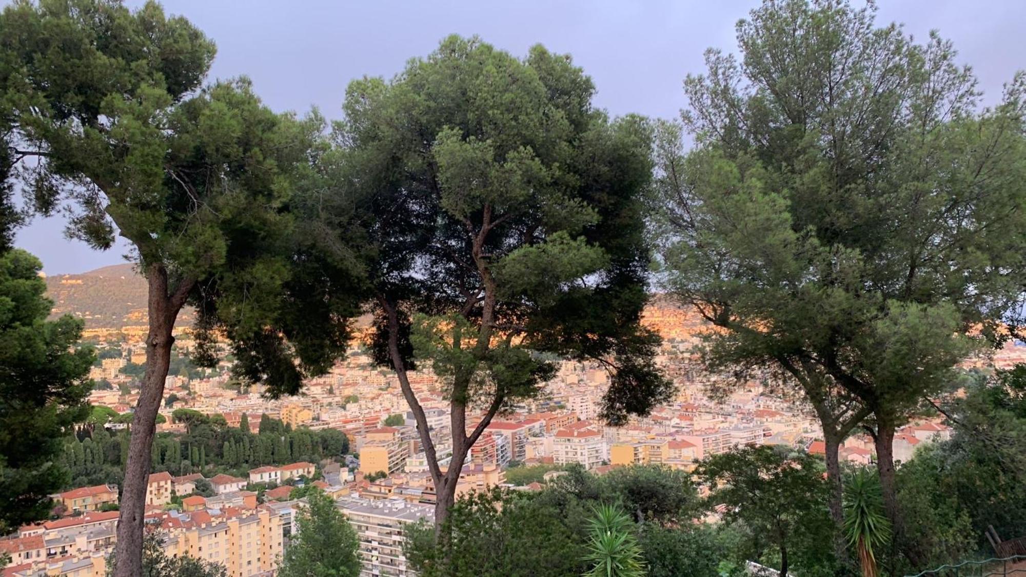 D Avec Clim Terrasse Et Petit Dejeuner Hauteurs De Homestay *