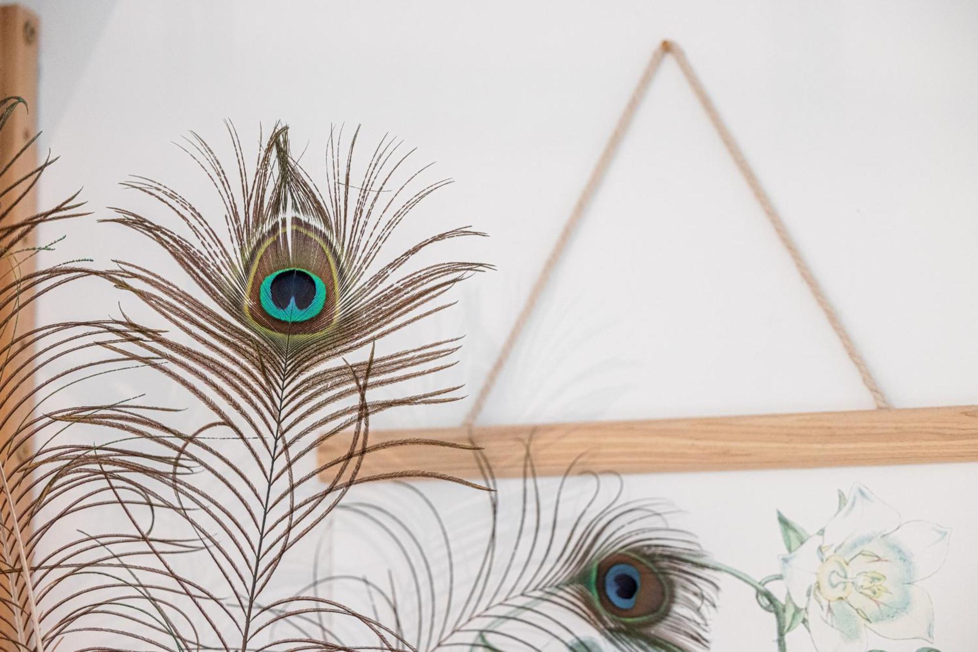 60 Herold - Magnifique - Terrasse - Climatise Nice