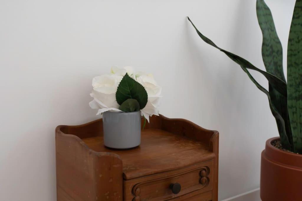 Cosy And Hyper Jean Medecin Nice