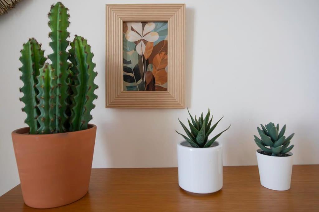 Cosy And Hyper Jean Medecin Apartment