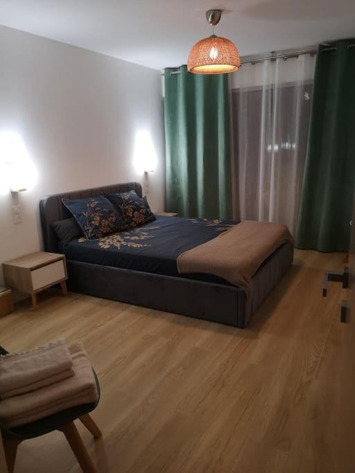 Apartment Chez L'hadriana, 2x Ac Clim Wi-fi,newly Renovated Nice