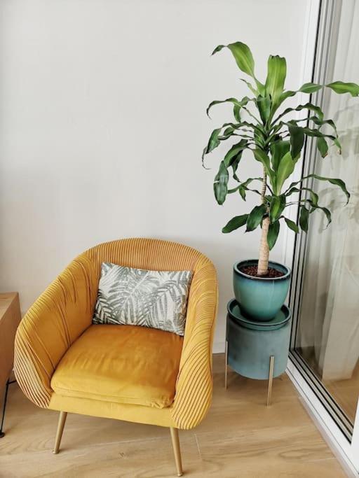 Chez L'hadriana, 2x Ac Clim Wi-fi,newly Renovated Apartment *