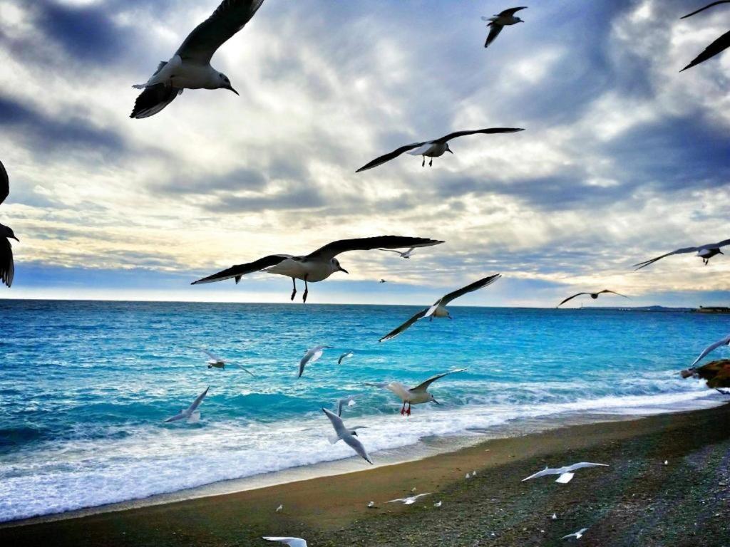 Apartment Heart Of The Old - *