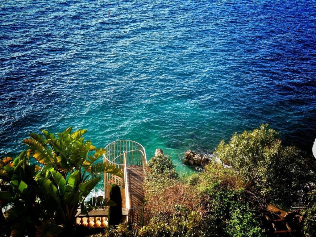 Heart Of The Old - Nice