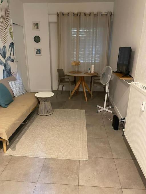 Apartamento Jungle *