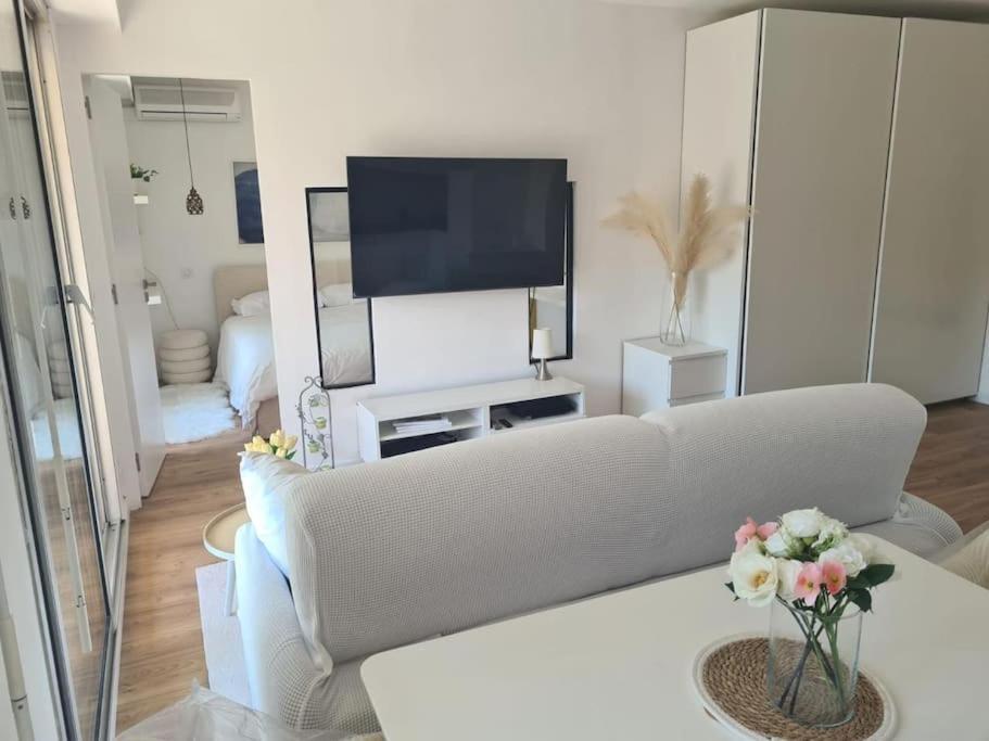 Apartamento Superbe Luxueux Spacieux 50 M2 Port Nice
