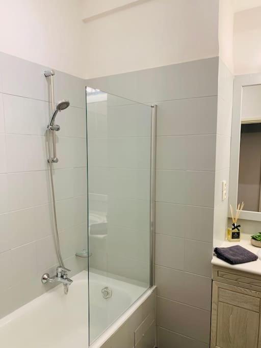 Beautiful Flat - Palais Meyerbeer At 2min Negresco *