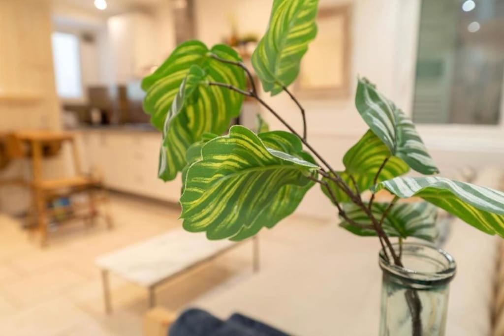 Apartment 2p, Quartier Du Port, Nice