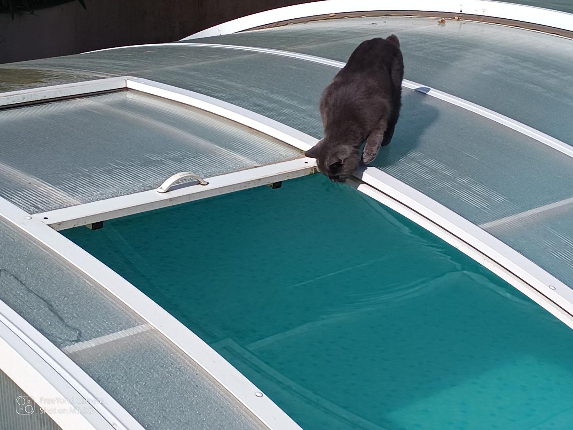 Dans Don Quijote * Nice